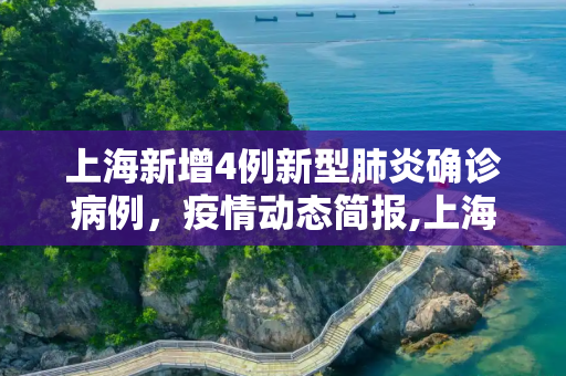 上海新增4例新型肺炎确诊病例，疫情动态简报,上海新增4例新型肺炎确诊病例的简单介绍