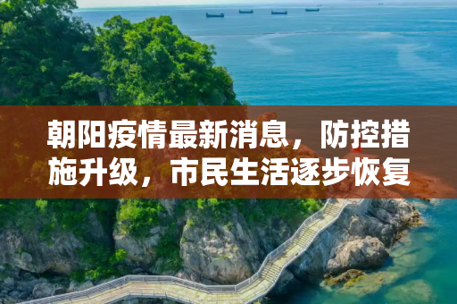 朝阳疫情最新消息，防控措施升级，市民生活逐步恢复,朝阳疫情最新消息