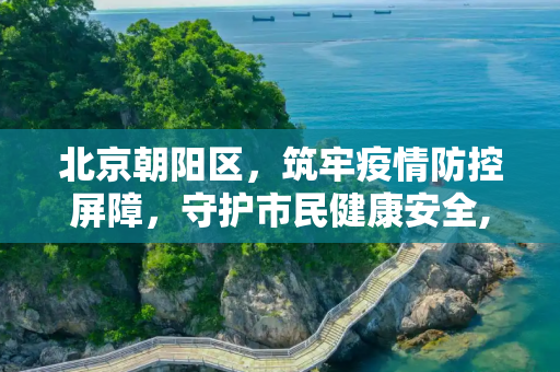 北京朝阳区，筑牢疫情防控屏障，守护市民健康安全,北京朝阳区疫情防控
