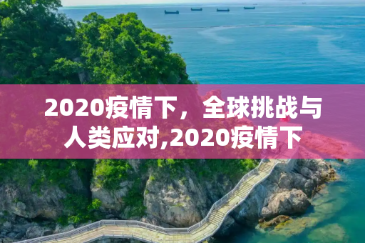 2020疫情下，全球挑战与人类应对,2020疫情下