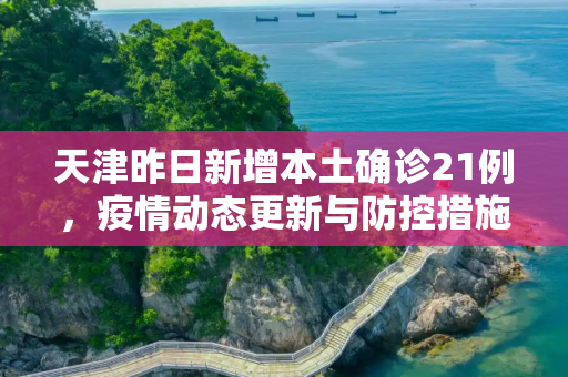 天津昨日新增本土确诊21例，疫情动态更新与防控措施,天津昨日新增本土确诊21例