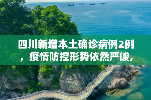 四川新增本土确诊病例2例，疫情防控形势依然严峻,四川新增本土确诊病例2例