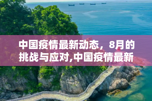 中国疫情最新动态，8月的挑战与应对,中国疫情最新8月
