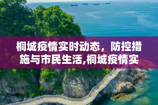 桐城疫情实时动态，防控措施与市民生活,桐城疫情实时动态