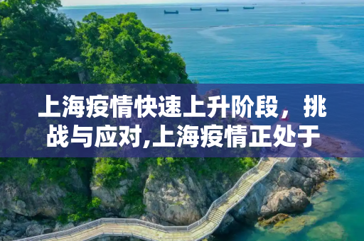 上海疫情快速上升阶段，挑战与应对,上海疫情正处于快速上升阶段