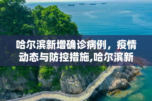 哈尔滨新增确诊病例，疫情动态与防控措施,哈尔滨新增确诊病例
