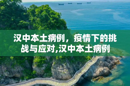 汉中本土病例，疫情下的挑战与应对,汉中本土病例