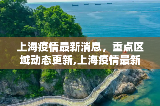 上海疫情最新消息，重点区域动态更新,上海疫情最新消息在哪几个区