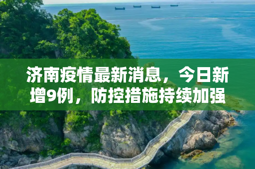 济南疫情最新消息，今日新增9例，防控措施持续加强,济南疫情最新消息今天又增加9人