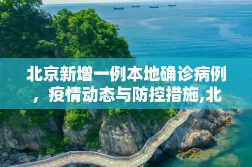 北京新增一例本地确诊病例，疫情动态与防控措施,北京出现一例本地确诊病例