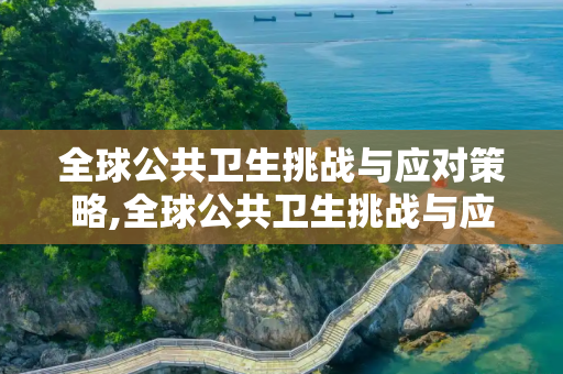 全球公共卫生挑战与应对策略,全球公共卫生挑战与应对策略