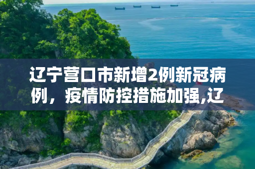辽宁营口市新增2例新冠病例，疫情防控措施加强,辽宁营口新增2例