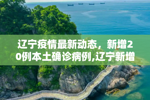 辽宁疫情最新动态，新增20例本土确诊病例,辽宁新增20例本土确诊病例