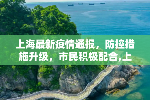 上海最新疫情通报，防控措施升级，市民积极配合,上海最新疫情通报