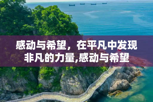 感动与希望，在平凡中发现非凡的力量,感动与希望