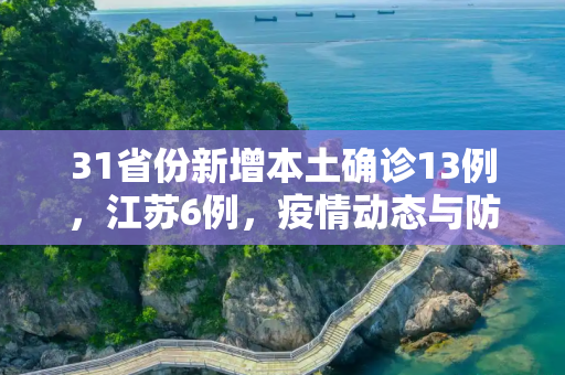 31省份新增本土确诊13例，江苏6例，疫情动态与防控措施,31省份新增本土确诊13例江苏6例
