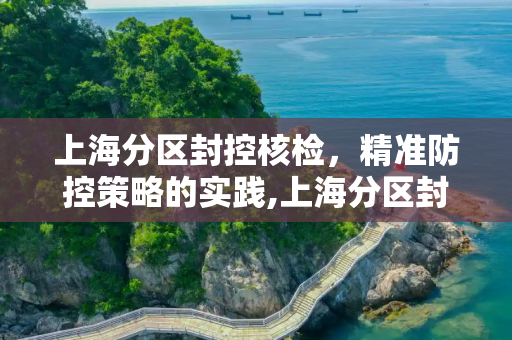 上海分区封控核检，精准防控策略的实践,上海分区封控核检