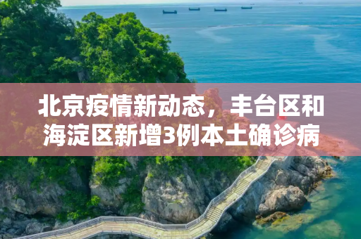 北京疫情新动态，丰台区和海淀区新增3例本土确诊病例,北京新增3例本土确诊 在丰台、海淀