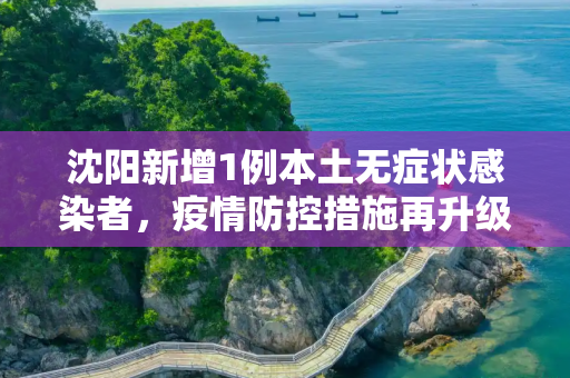沈阳新增1例本土无症状感染者，疫情防控措施再升级,沈阳新增1例本土无症状