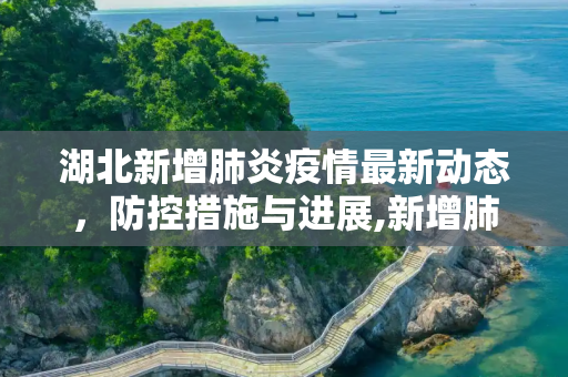 湖北新增肺炎疫情最新动态，防控措施与进展,新增肺炎最新疫情湖北