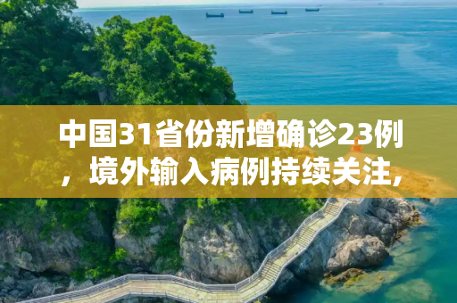 中国31省份新增确诊23例，境外输入病例持续关注,31省份新增确诊23例 均为境外输入