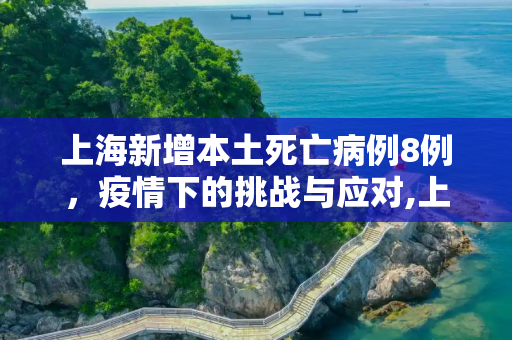 上海新增本土死亡病例8例，疫情下的挑战与应对,上海新增本土死亡病例8例