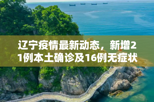 辽宁疫情最新动态，新增21例本土确诊及16例无症状感染者,辽宁新增21例本土确诊16例无症状