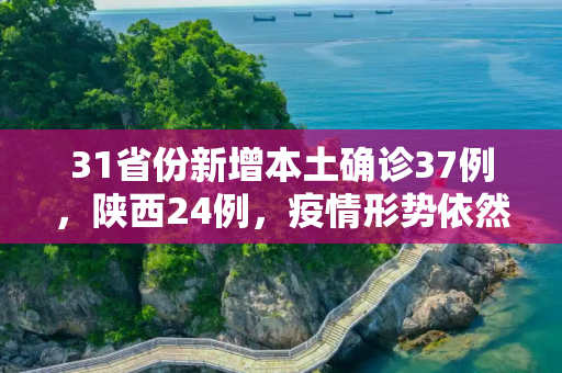 31省份新增本土确诊37例，陕西24例，疫情形势依然严峻,31省份新增本土确诊37例:陕西24例