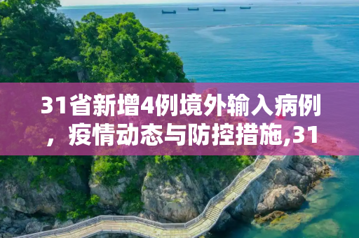 31省新增4例境外输入病例，疫情动态与防控措施,31省增4例境外输入