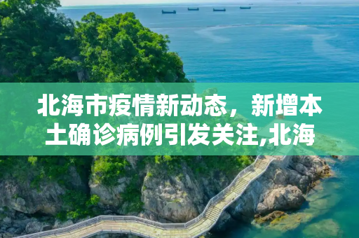 北海市疫情新动态，新增本土确诊病例引发关注,北海新增本土确诊