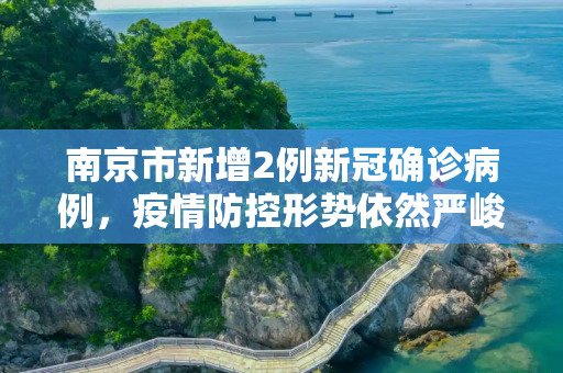 南京市新增2例新冠确诊病例，疫情防控形势依然严峻,南京新增确诊2例