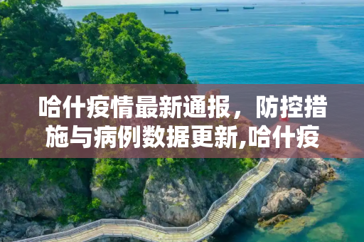 哈什疫情最新通报，防控措施与病例数据更新,哈什疫情最新通报