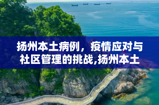 扬州本土病例，疫情应对与社区管理的挑战,扬州本土病例