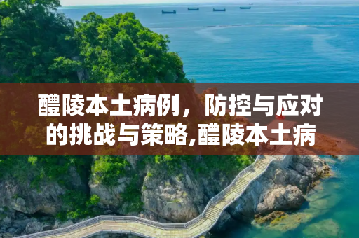 醴陵本土病例，防控与应对的挑战与策略,醴陵本土病例