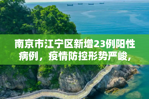 南京市江宁区新增23例阳性病例，疫情防控形势严峻,关于南京市江宁区新增23例阳性的信息