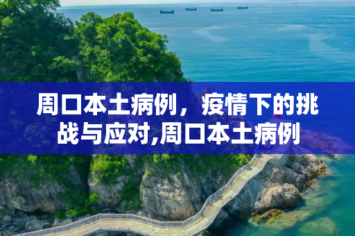 周口本土病例，疫情下的挑战与应对,周口本土病例