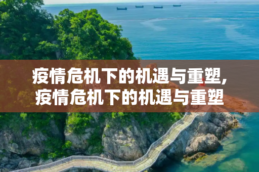 疫情危机下的机遇与重塑,疫情危机下的机遇与重塑