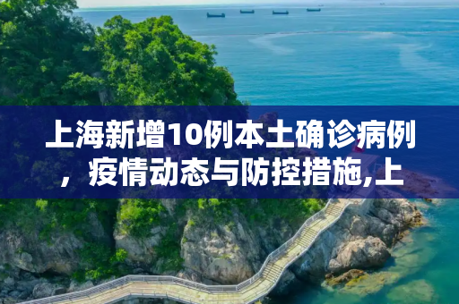 上海新增10例本土确诊病例，疫情动态与防控措施,上海新增10例本土确诊病例的简单介绍