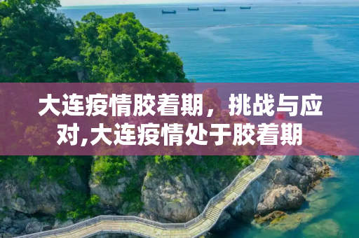 大连疫情胶着期，挑战与应对,大连疫情处于胶着期