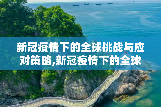 新冠疫情下的全球挑战与应对策略,新冠疫情下的全球挑战与应对策略
