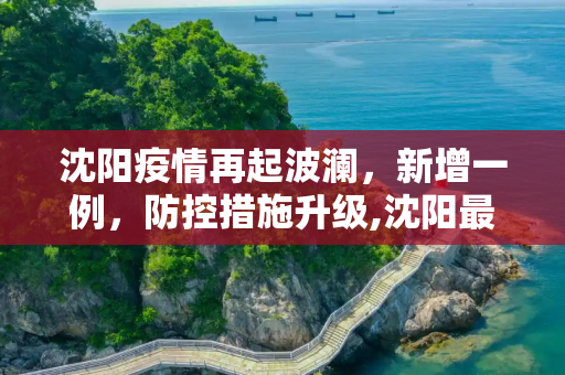 沈阳疫情再起波澜，新增一例，防控措施升级,沈阳最新疫情又新增一例