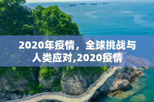 2020年疫情，全球挑战与人类应对,2020疫情