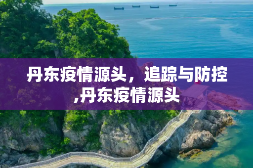 丹东疫情源头，追踪与防控,丹东疫情源头