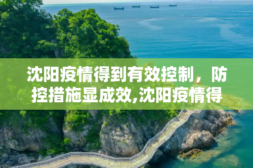 沈阳疫情得到有效控制，防控措施显成效,沈阳疫情得到控制