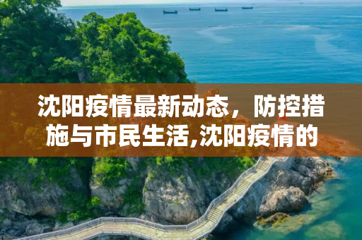 沈阳疫情最新动态，防控措施与市民生活,沈阳疫情的最新情况
