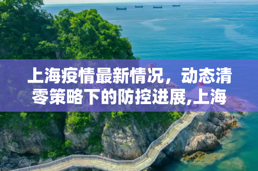 上海疫情最新情况，动态清零策略下的防控进展,上海的疫情最新情况