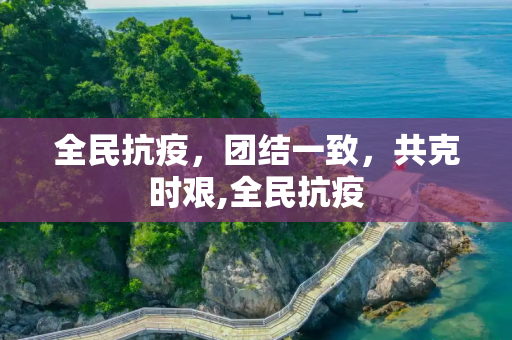 全民抗疫，团结一致，共克时艰,全民抗疫