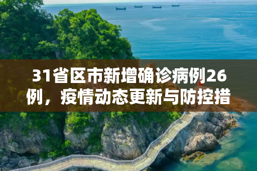31省区市新增确诊病例26例，疫情动态更新与防控措施,31省区市新增确诊病例26例