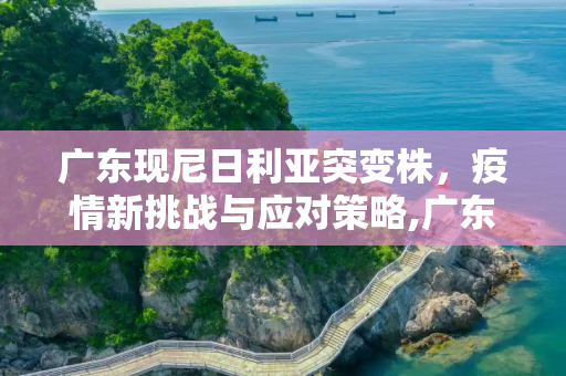 广东现尼日利亚突变株，疫情新挑战与应对策略,广东现尼日利亚突变株