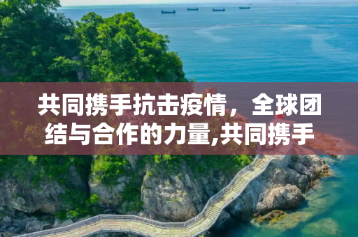 共同携手抗击疫情，全球团结与合作的力量,共同携手抗击疫情